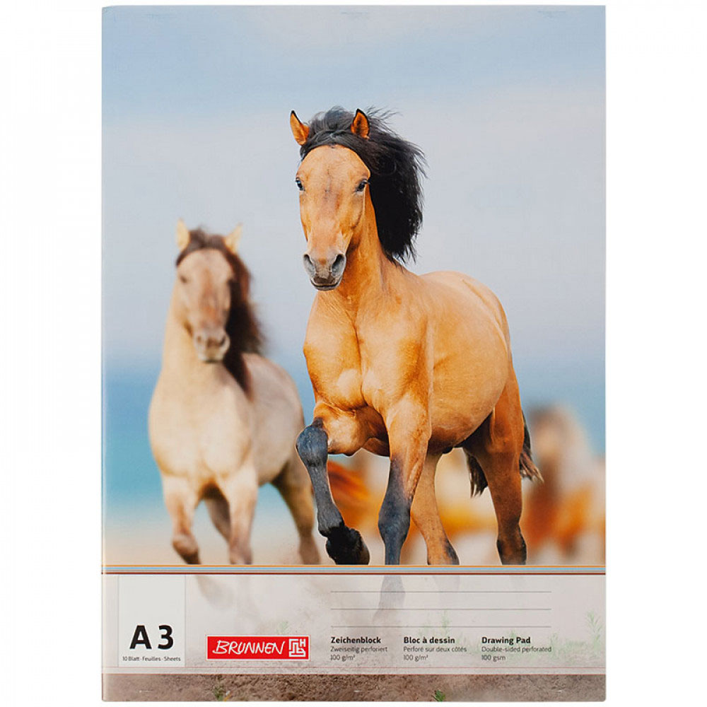 Альбом-склейка для рисования А3, 10 лист. 100 г/м2 Brunnen - фото 2