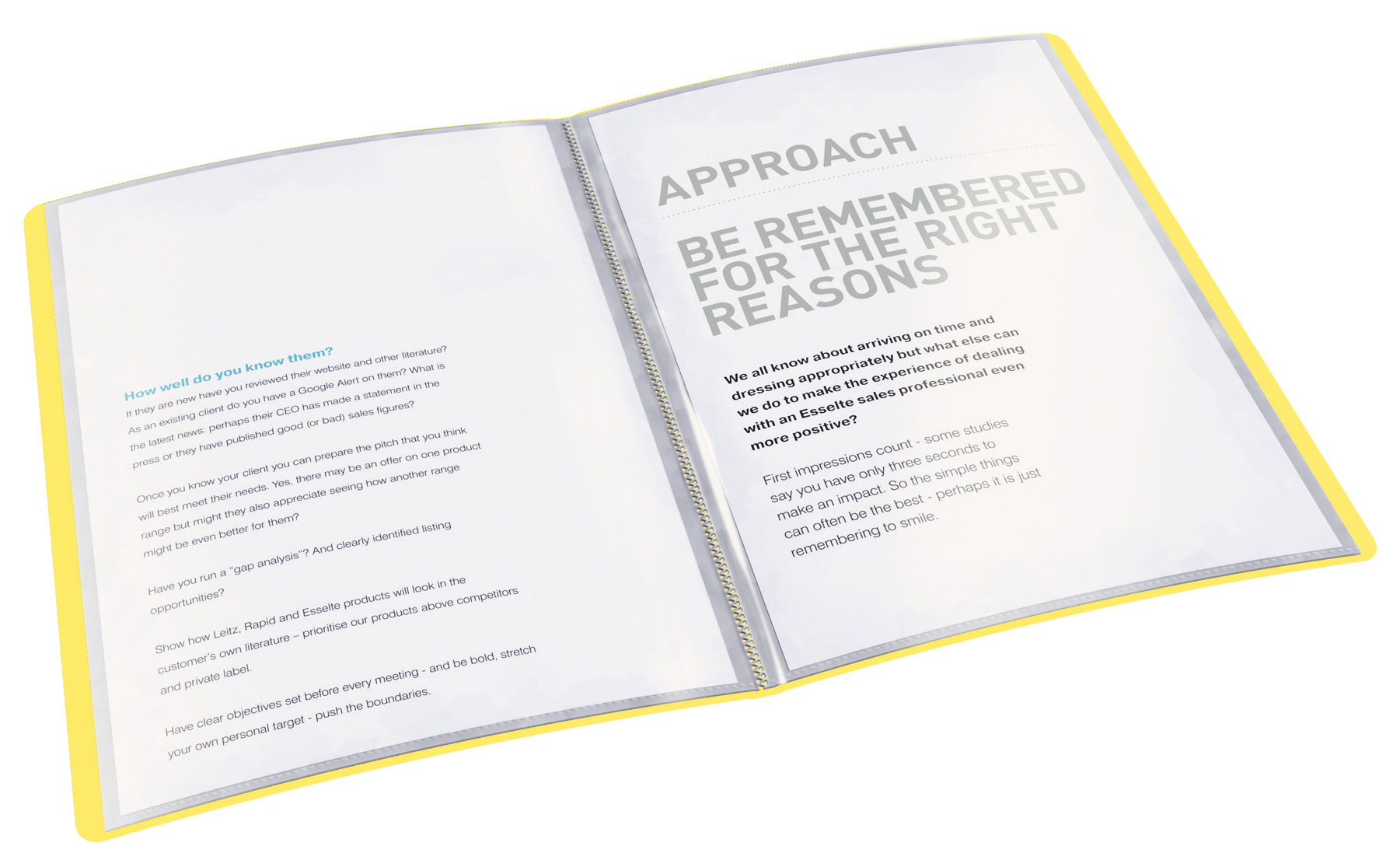 Папка на 20 файлов Vivida, желт. Esselte - фото 1