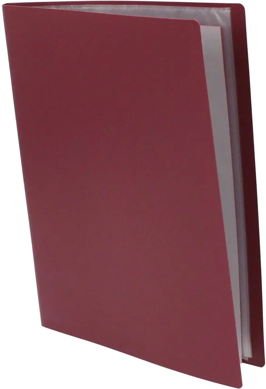 Папка на 10 файлів, бордо Axent - фото 3