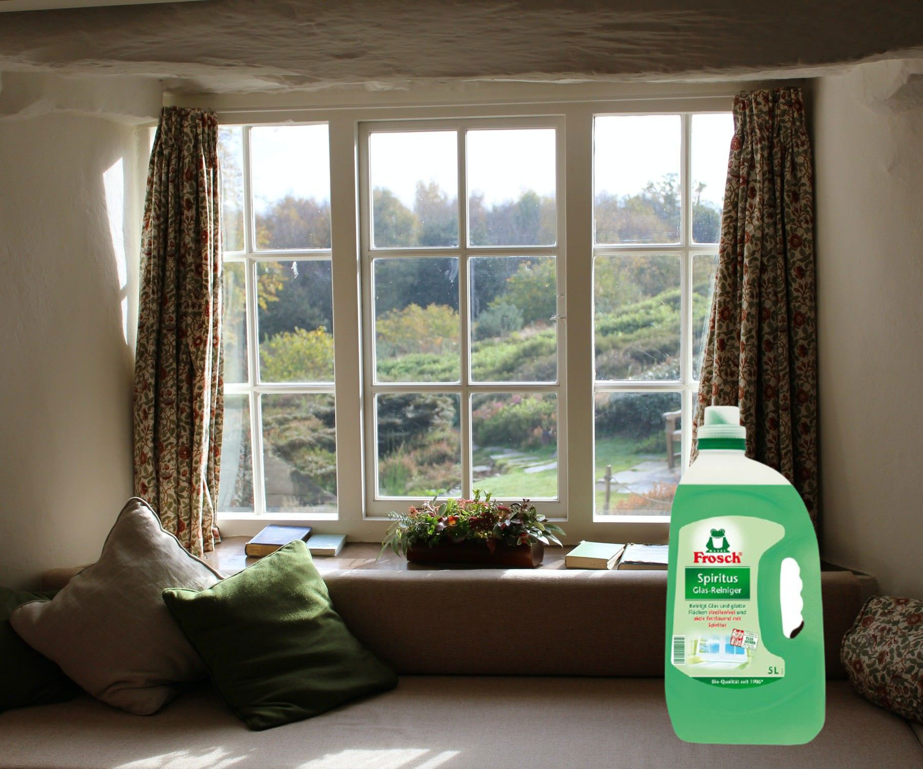 Жидкость для мытья стекол, 5л., спиртовая Frosch - фото 3