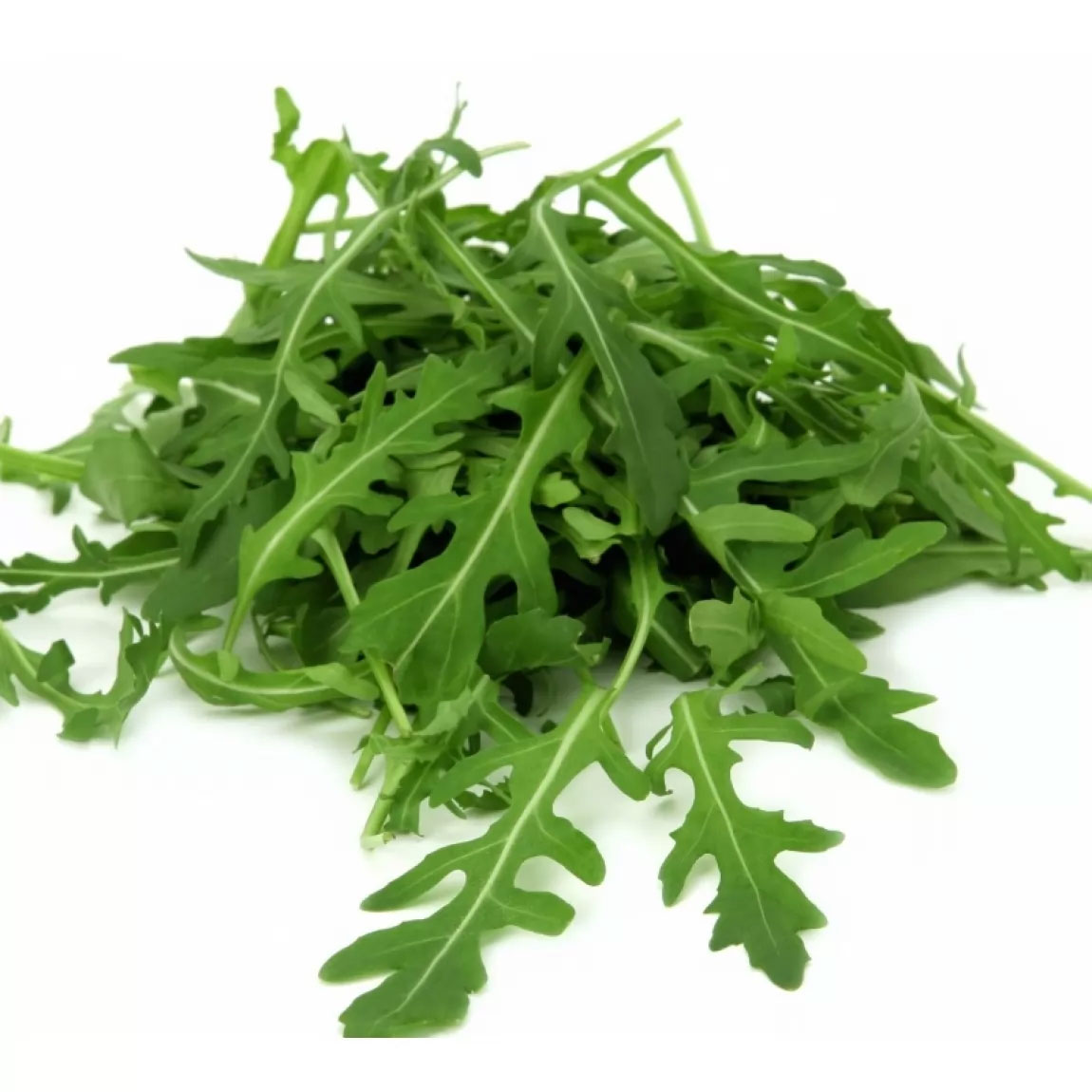 Рукола, 125 г. Импорт - фото 1