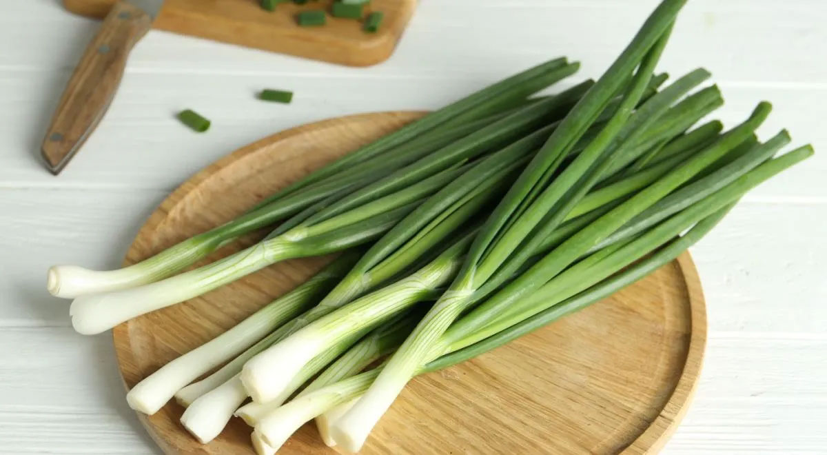 Цибуля зелена Україна - фото 1