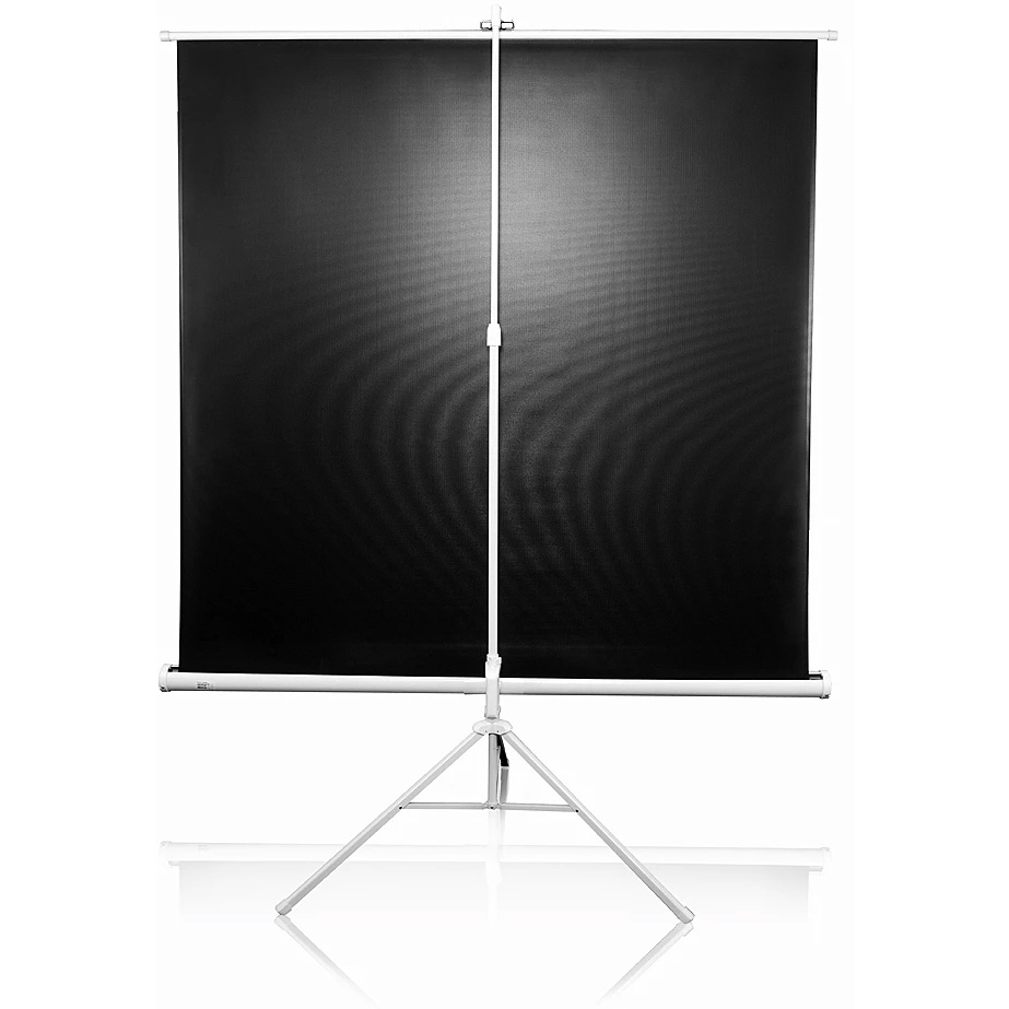 Экран для проектора мобильный на триноге T119NWS1, 119