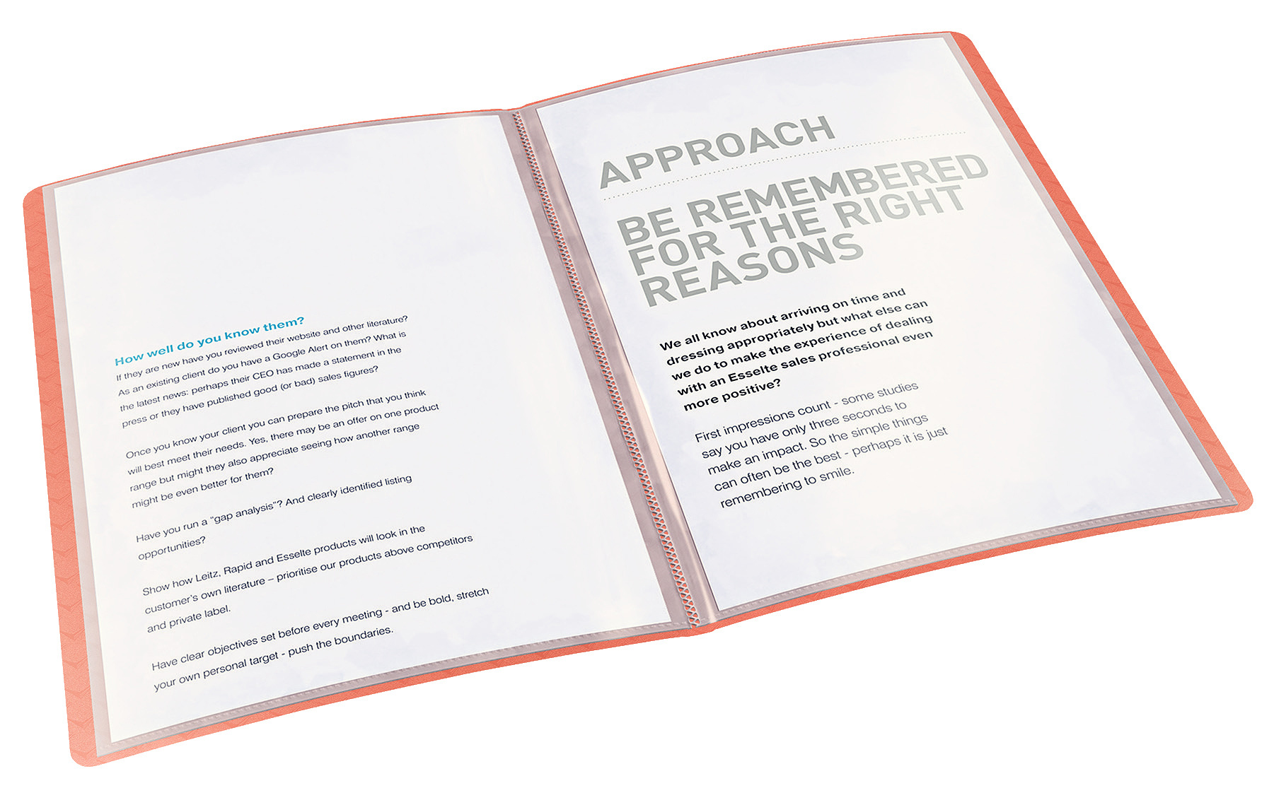 Папка на 40 файлов Colour'ice, абрикос Esselte - фото 1