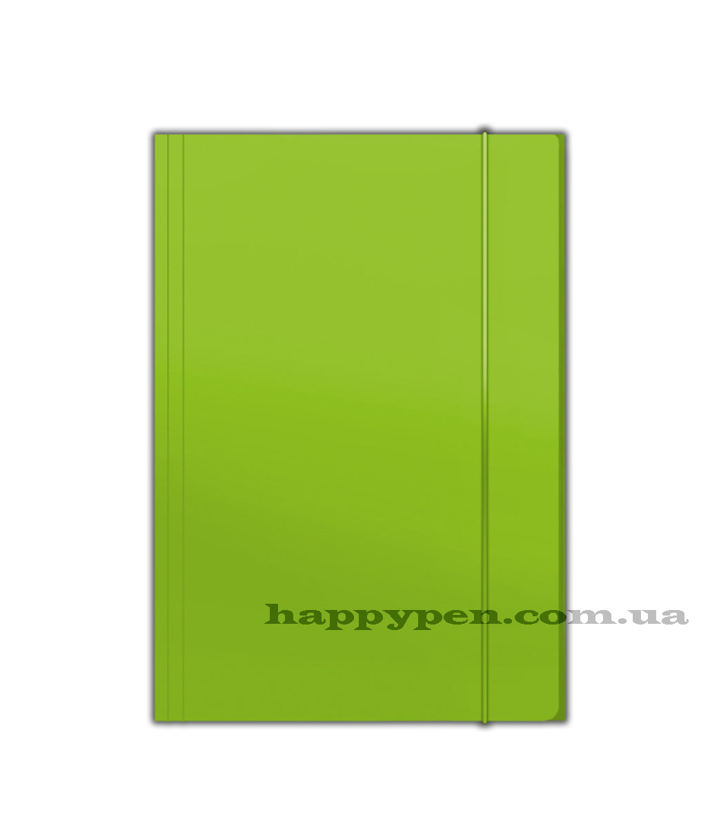 Папка на гумках картона А4, св.-зел. Penmate - фото 1