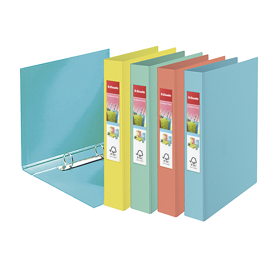 Папка А4, 25мм., 2кольца, Colour'ice, зелен. Esselte - фото 1