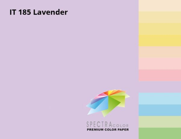 Бумага цветная Color A4 пастель 75г./м2. Lavender, 500листов, лилов. Spectra Color - фото 1