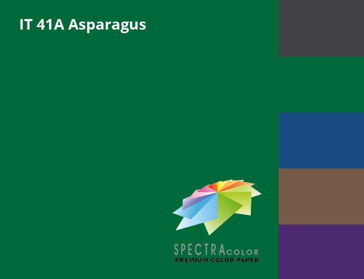 Бумага цветная Color A4 интенсив 80г./м2. Asparagus, 500листов, темно-зелен. Spectra Color - фото 1