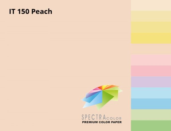 Бумага цветная Color A4 пастель 80г./м2. Peach, 500листов, персик. Spectra Color - фото 2