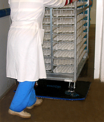 Дезінфекційний килим 