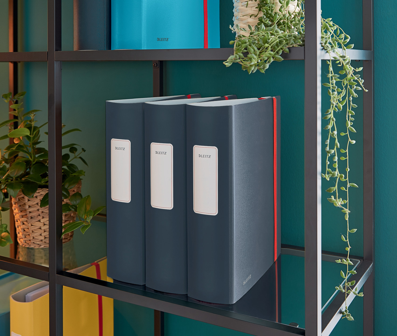 Регистратор 8,2см. А4 (PP) 180 Active Cosy, серый LEITZ - фото 5