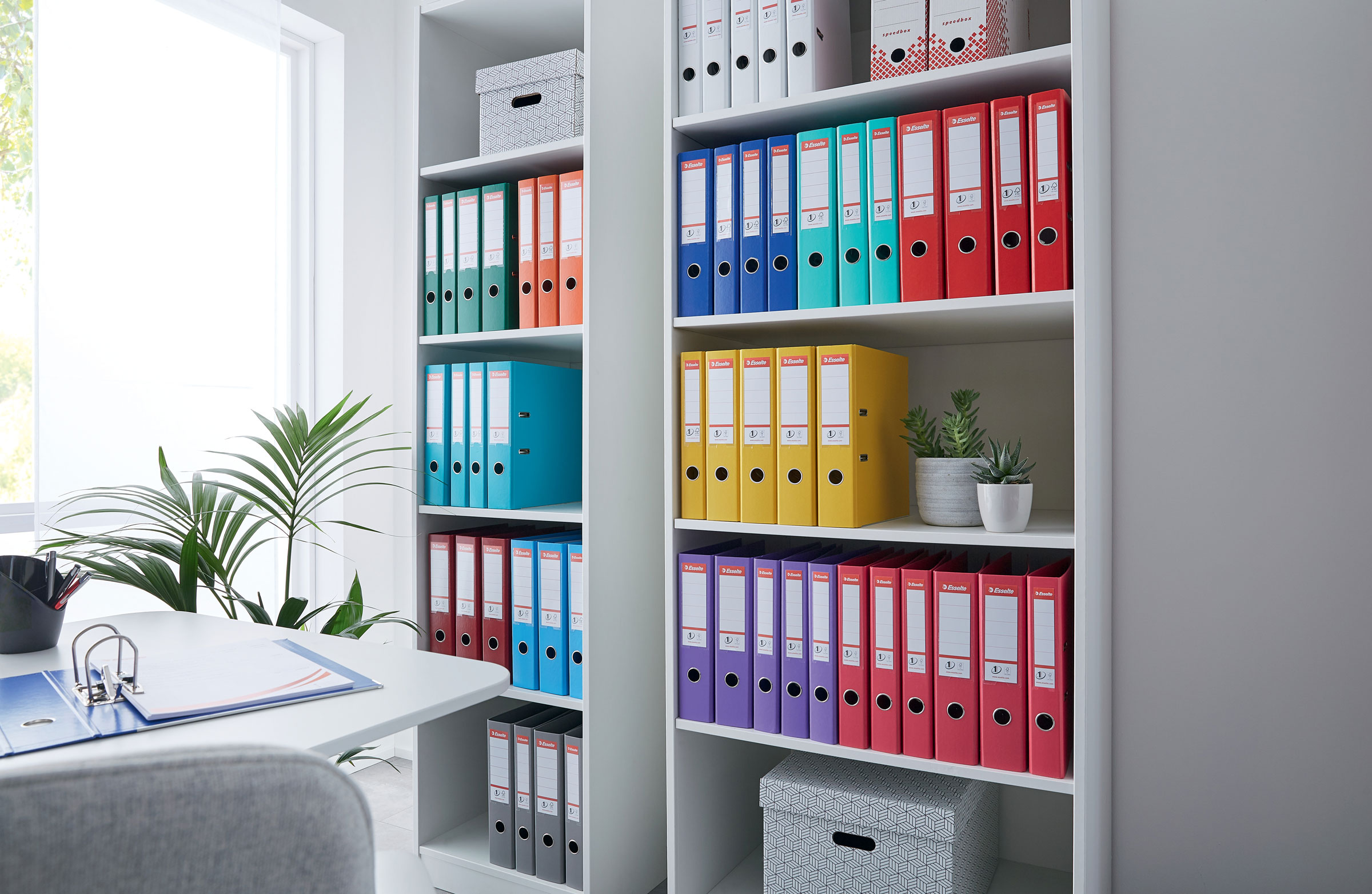 Реєстратор 5см. А4 (PP), No.1 Power, фуксія Esselte - фото 5