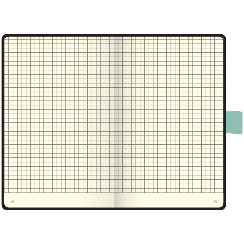 Книга записная А6 Компаньйон, клетка, мятный срез, черн. Brunnen - фото 1