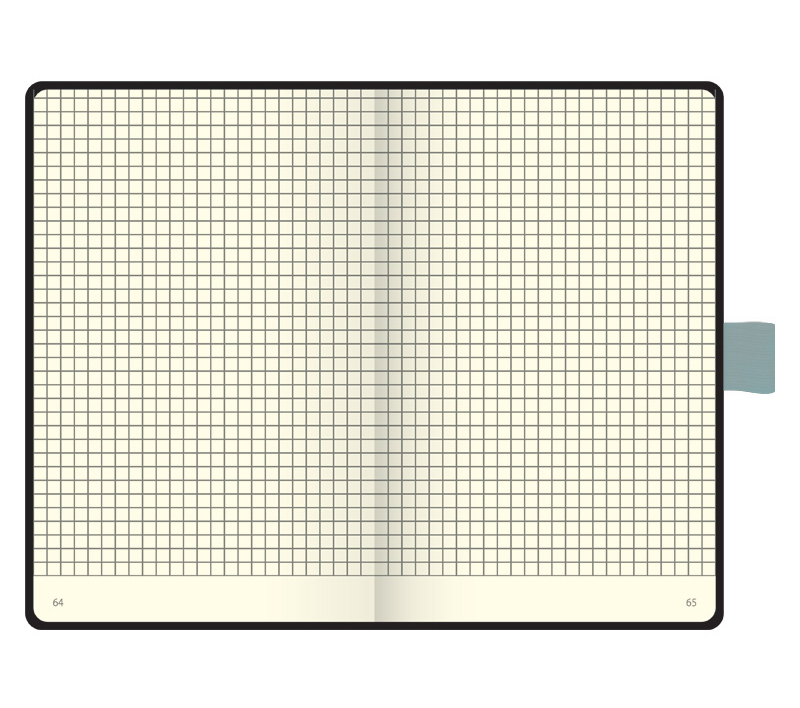 Книга записна А6 Компаньйон, клітинка, сірий зріз, чорн. Brunnen - фото 1