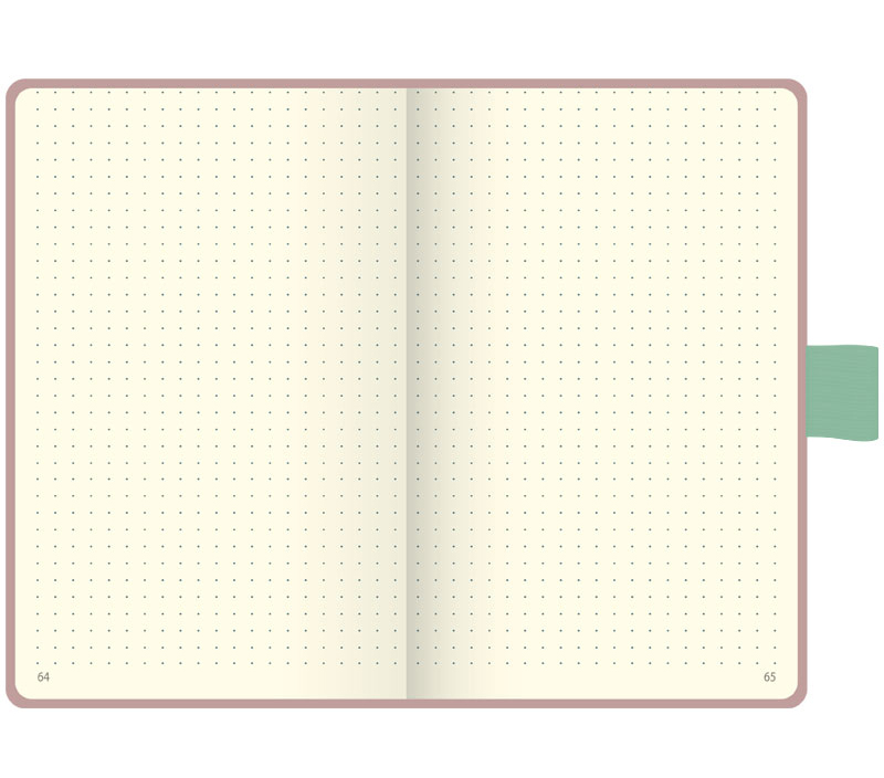 Книга записна А6 Компаньйон, крапка, рож.-зол. Brunnen - фото 1