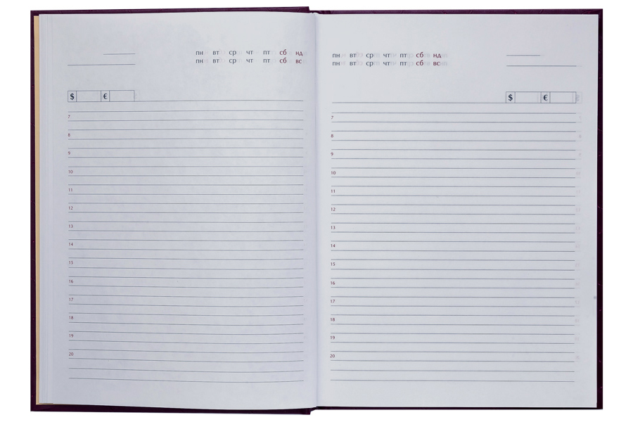 Щоденник не датований Expert, (150*205мм.), 144арк., бумвініл, лінійка бордо BuroMax - фото 1