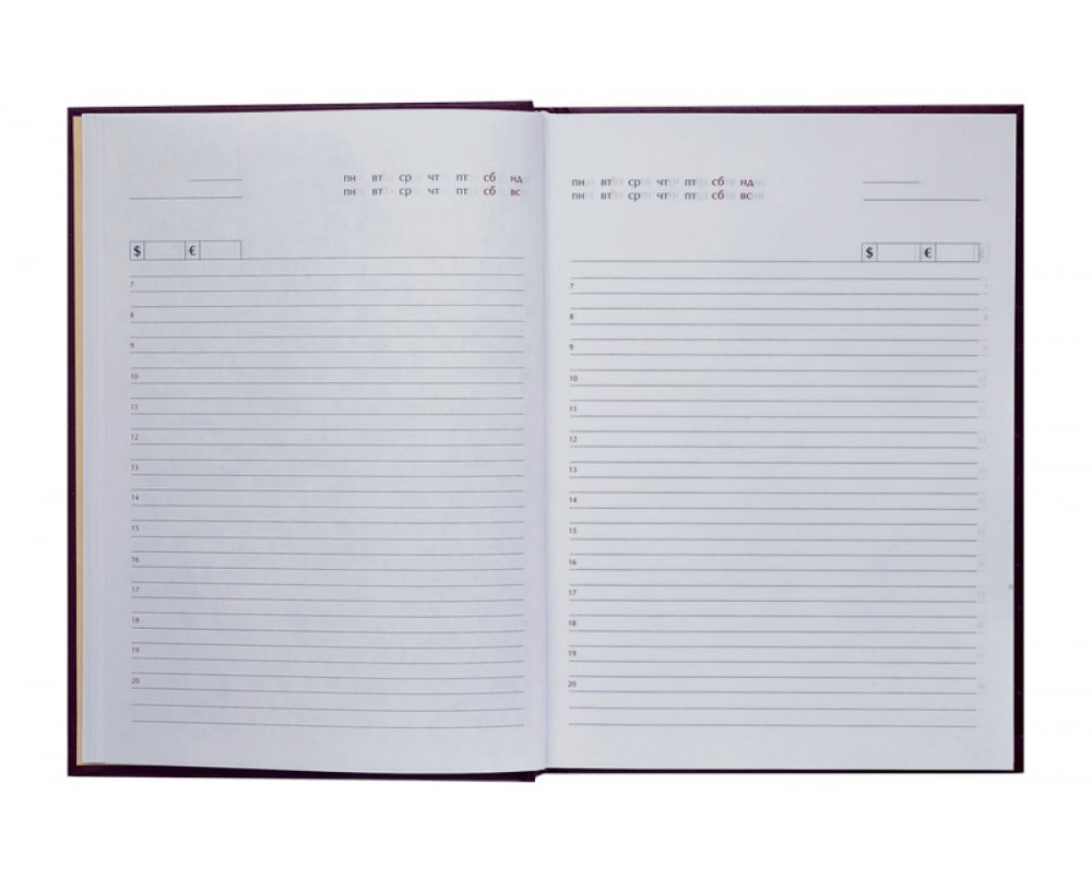 Ежедневник не датированный STRONG, 150*205мм., 144л., бумвинил, линейка, черн. BuroMax - фото 4