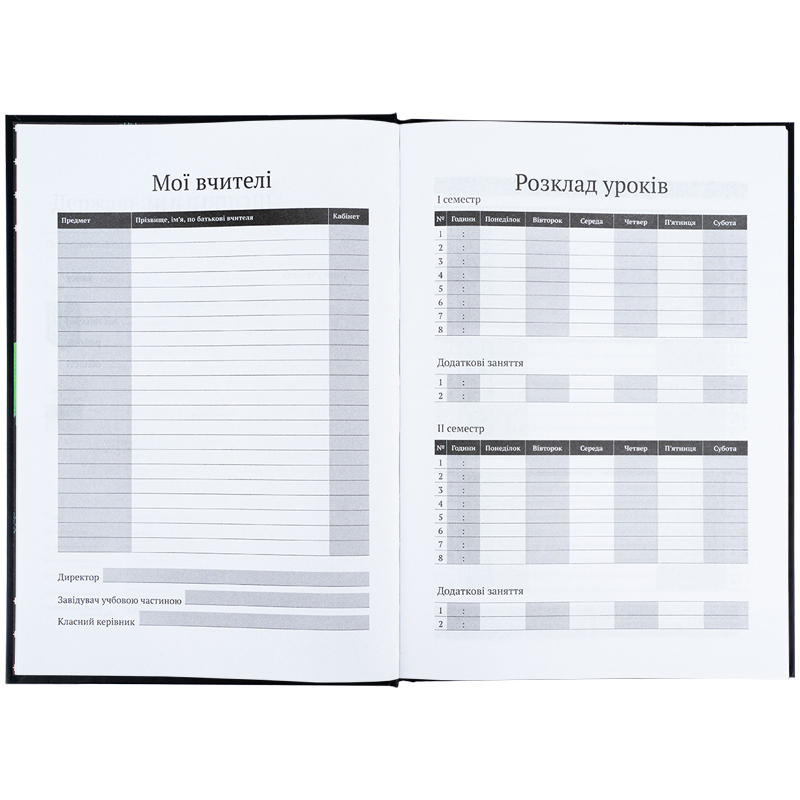 Школьный дневник, твердая обложка, CyberRink (K25-262-9) Kite - фото 2