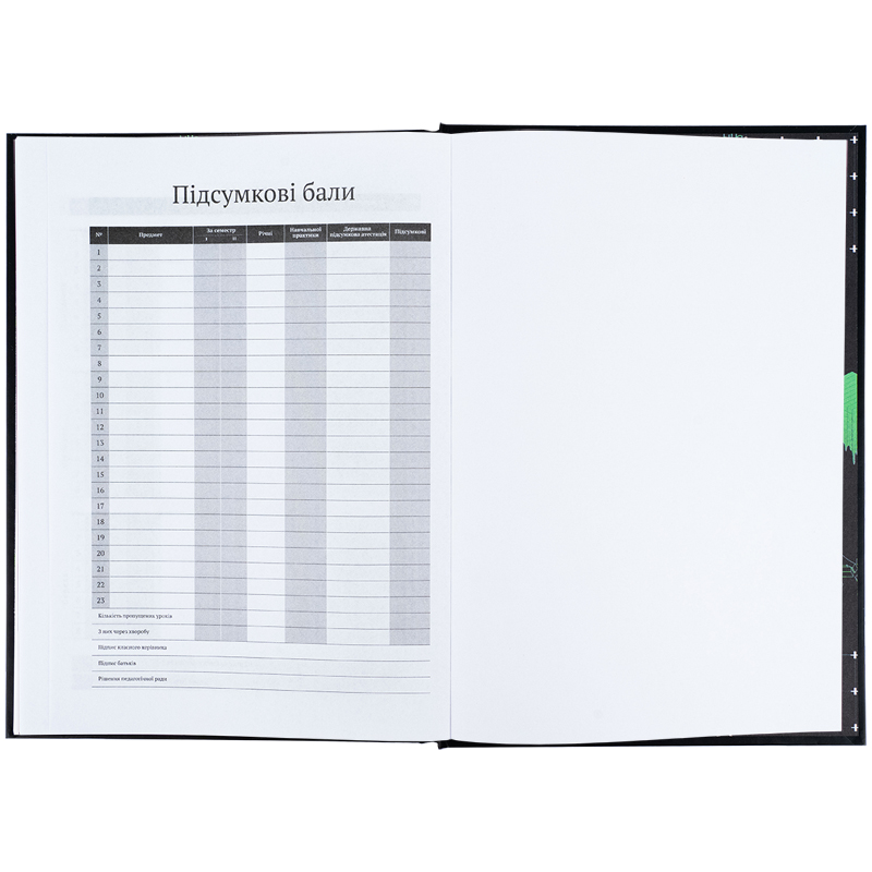 Школьный дневник, твердая обложка, CyberRink (K25-262-9) Kite - фото 4