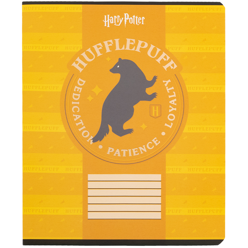 Тетрадь 18 лист., кл., фольга + УФ лак, Harry Potter (HP25-236) Kite - фото 3