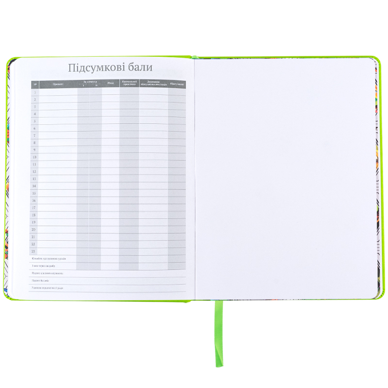 Школьный дневник, твёрдая обложка, PU, Ninja Turtles (NT25-264) Kite - фото 1