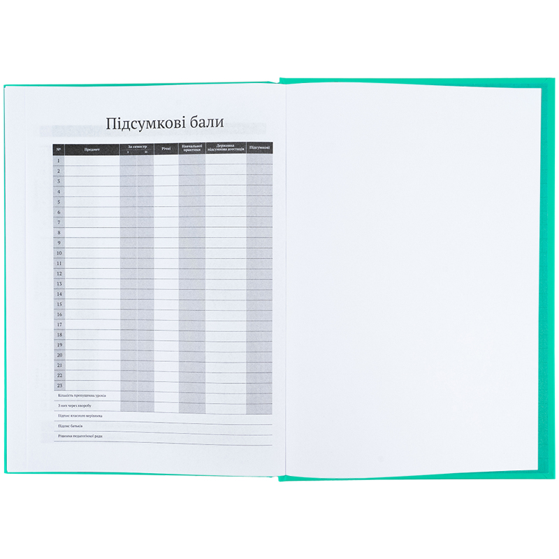 Щоденник шкільний, тверда обкладинка, малахітовий (K25-262-11) Kite - фото 3