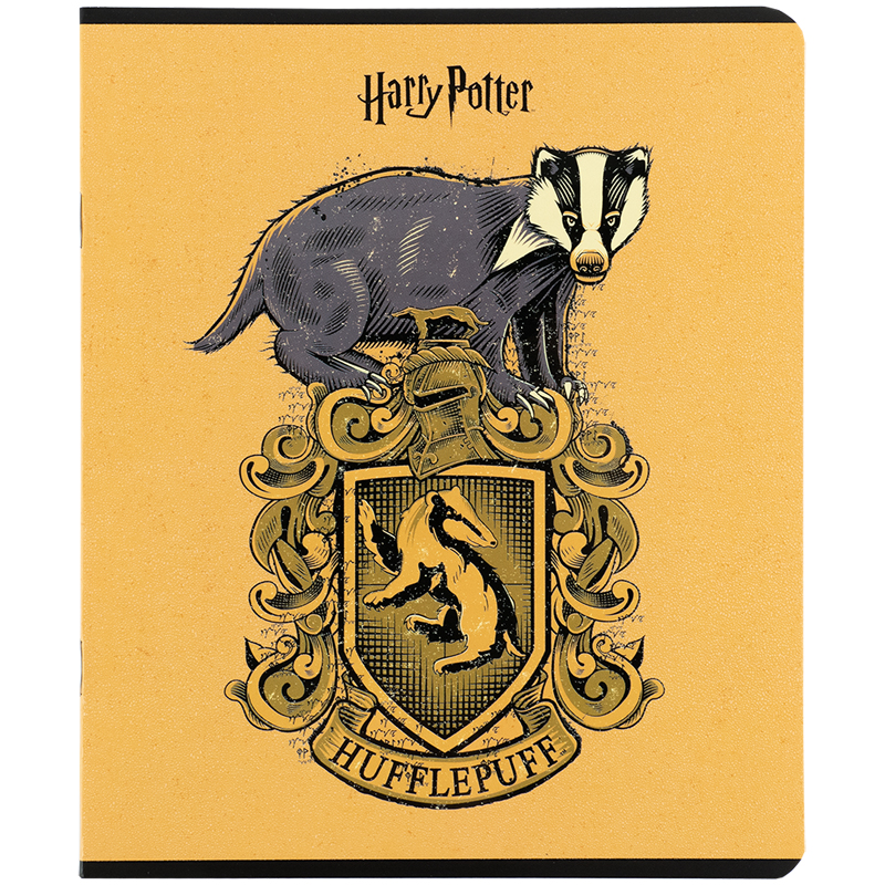 Зошит 24 арк., лін., гібр. лак + УФ лак, Harry Potter (HP25-239) Kite - фото 5