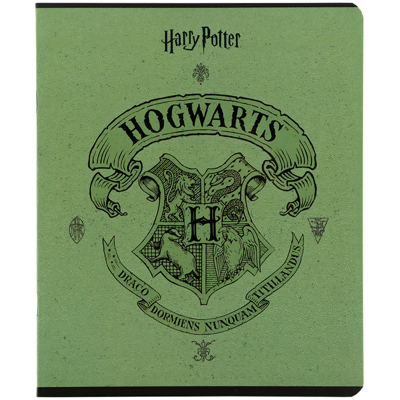 Зошит 24 арк., лін., гібр. лак + УФ лак, Harry Potter (HP25-239) Kite - фото 7