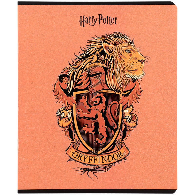 Зошит 24 арк., лін., гібр. лак + УФ лак, Harry Potter (HP25-239) Kite - фото 9