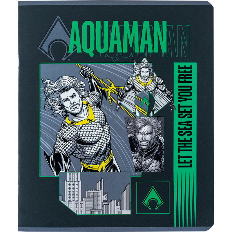 Тетрадь 24 лист.,кл., софт тач + УФ лак, DC Comics (DC24-238) Kite - фото 6