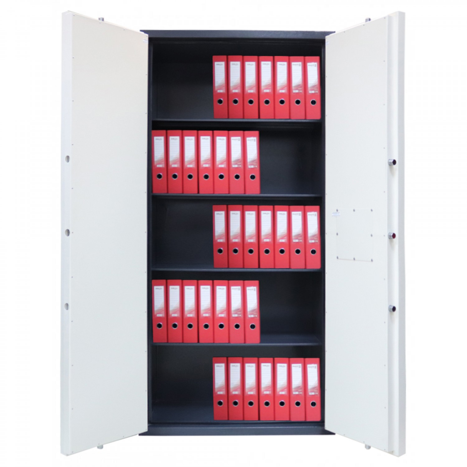 Шафа вогнестійка FSL.195.2.E Griffon - фото 1