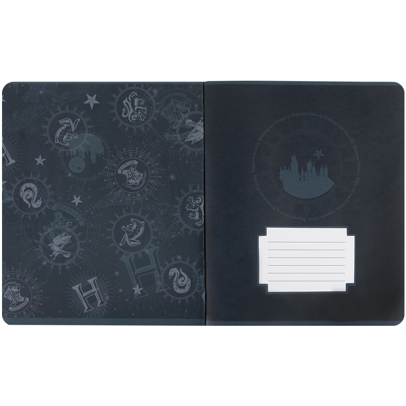 Тетрадь 48 лист., кл., фольга + УФ лак, Harry Potter (HP25-259) Kite - фото 2