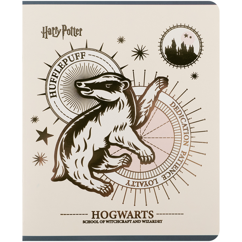 Тетрадь 48 лист., кл., фольга + УФ лак, Harry Potter (HP25-259) Kite - фото 9