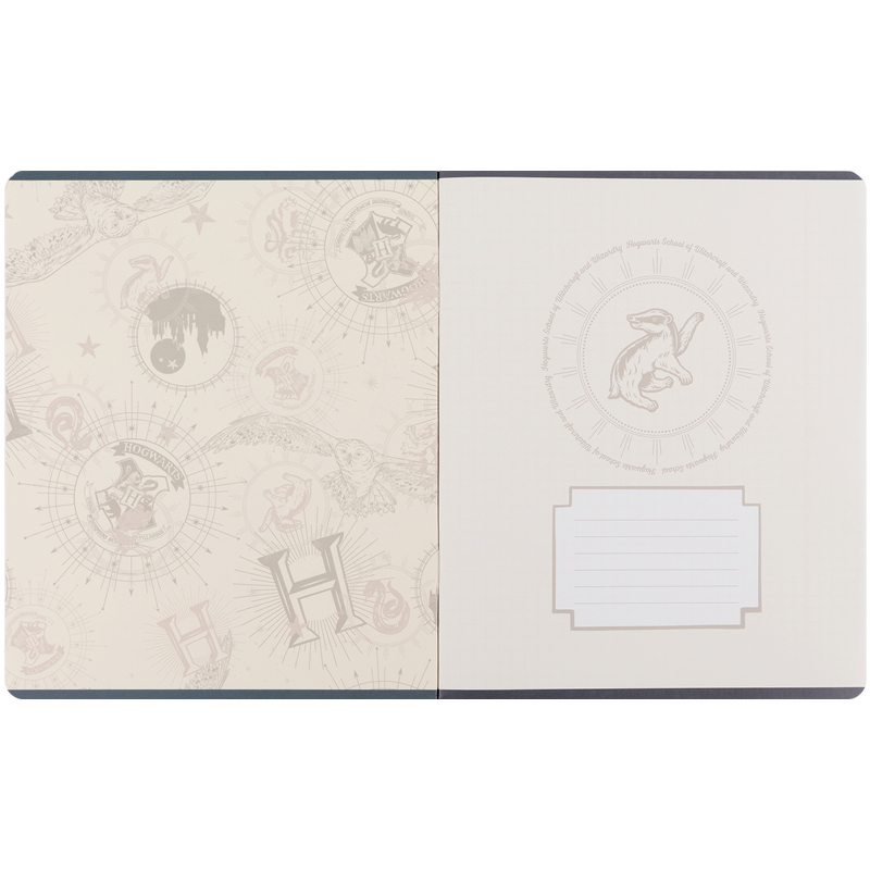 Тетрадь 48 лист., кл., фольга + УФ лак, Harry Potter (HP25-259) Kite - фото 10