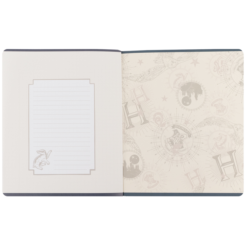 Тетрадь 48 лист., кл., фольга + УФ лак, Harry Potter (HP25-259) Kite - фото 11