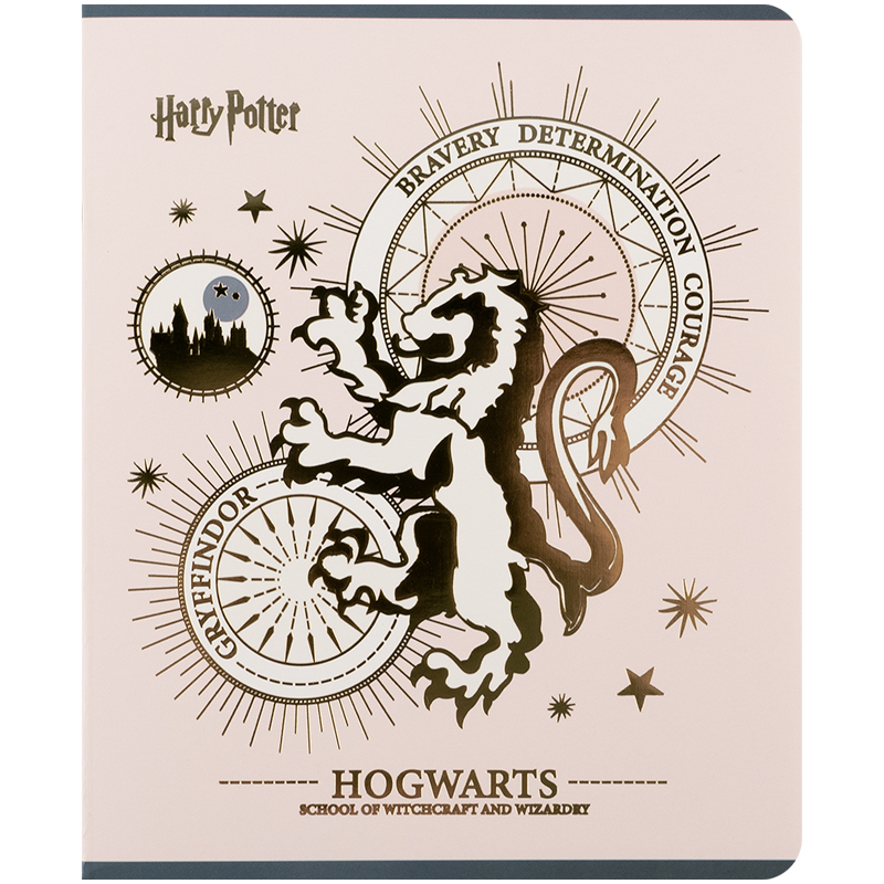 Тетрадь 48 лист., кл., фольга + УФ лак, Harry Potter (HP25-259) Kite - фото 17