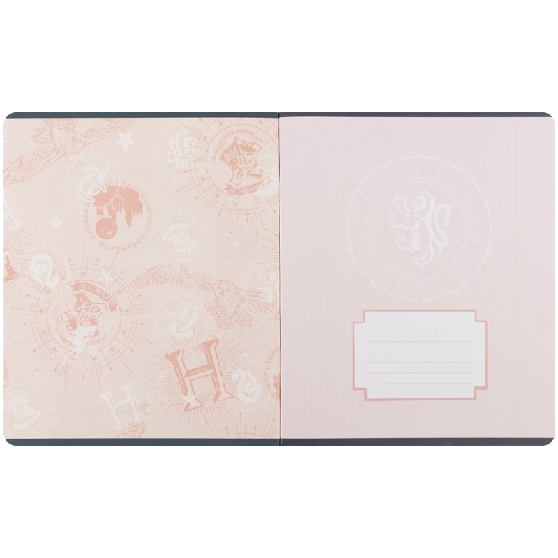 Тетрадь 48 лист., кл., фольга + УФ лак, Harry Potter (HP25-259) Kite - фото 18