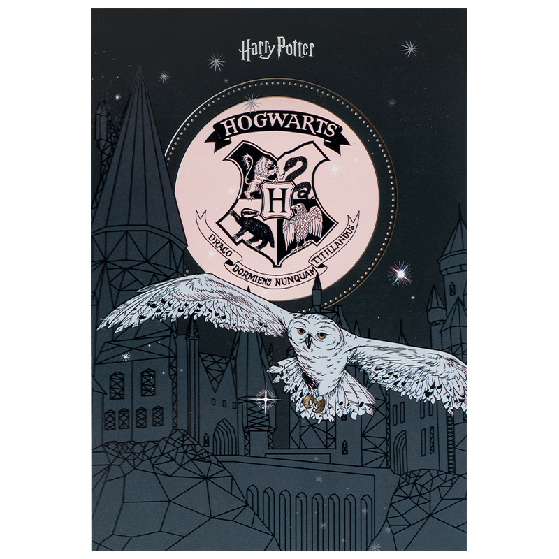 Блокнот-планшет, A5, 50 лист., кл., Harry Potter-1 (HP25-194-1) Kite - фото 1