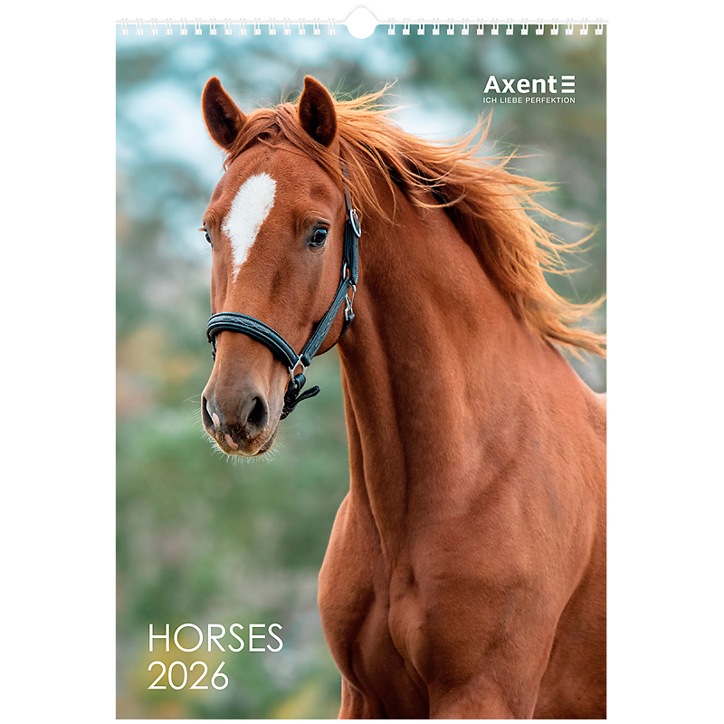 Календар настінний 2026 р., формат А3 (297*420мм.), 13 аркушів, Horses Axent - фото 8