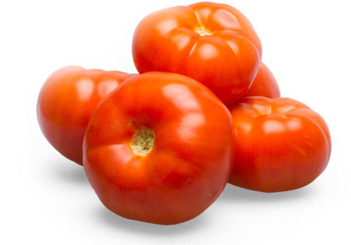 Помидор красный _ - фото 2