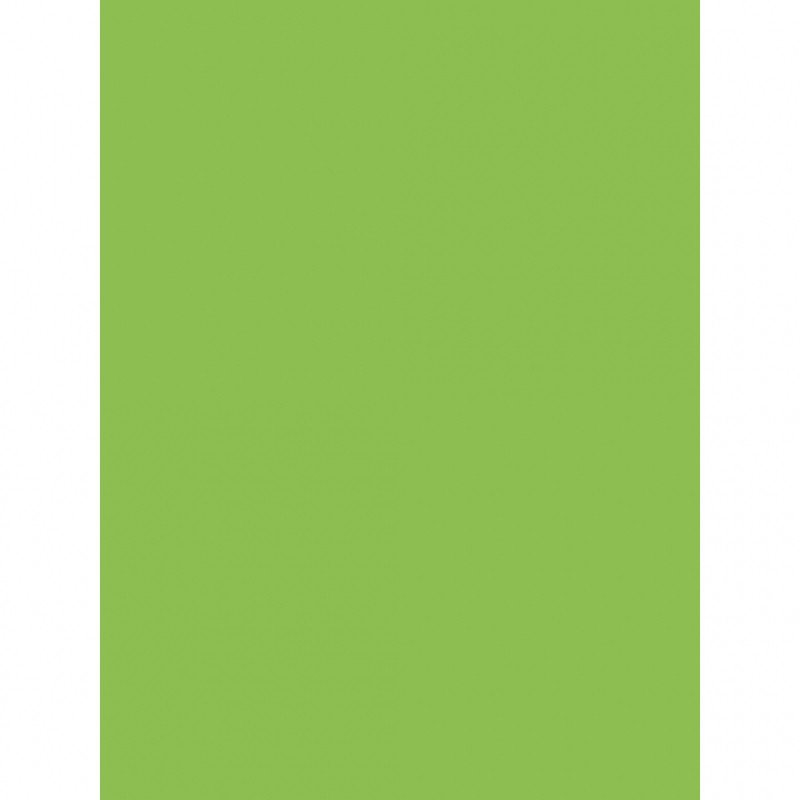 Бумага цветная Color A4 интенсив 80г./м2, 500лист., MA42. colar grin, зелен. Mondi - фото 2