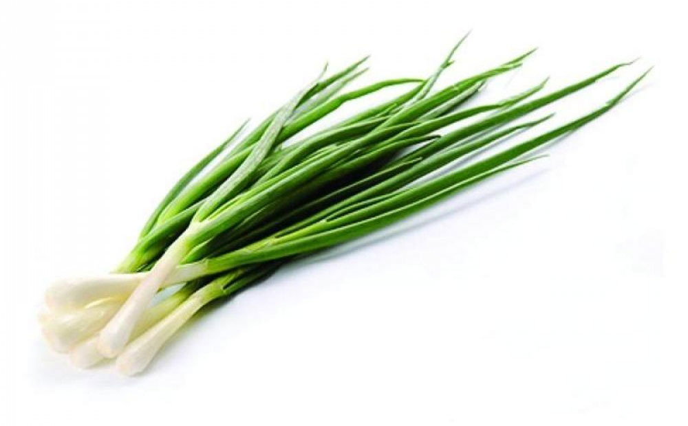 Цибуля зелена Україна - фото 2