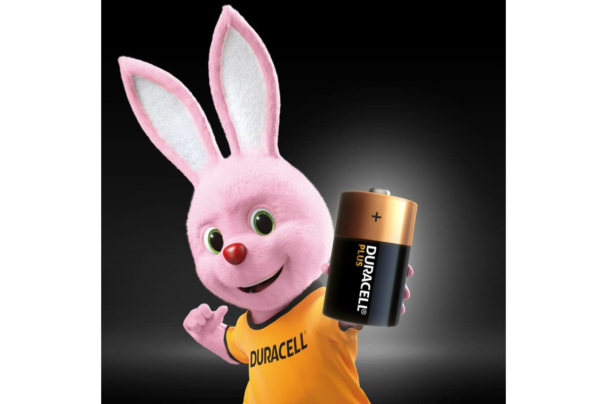 Батарейка LR20 (D, 13A, A373, MN1300) Plus, 2шт./уп. Duracell - фото 5