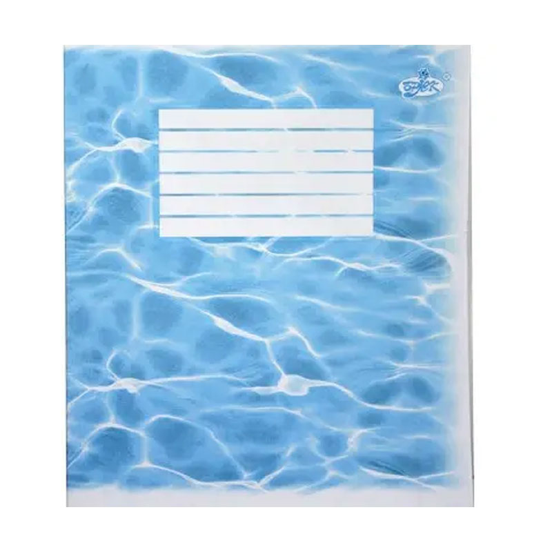 Зошит шкільний 24арк., клітинка, Фонова обкладинка Бріск - фото 2