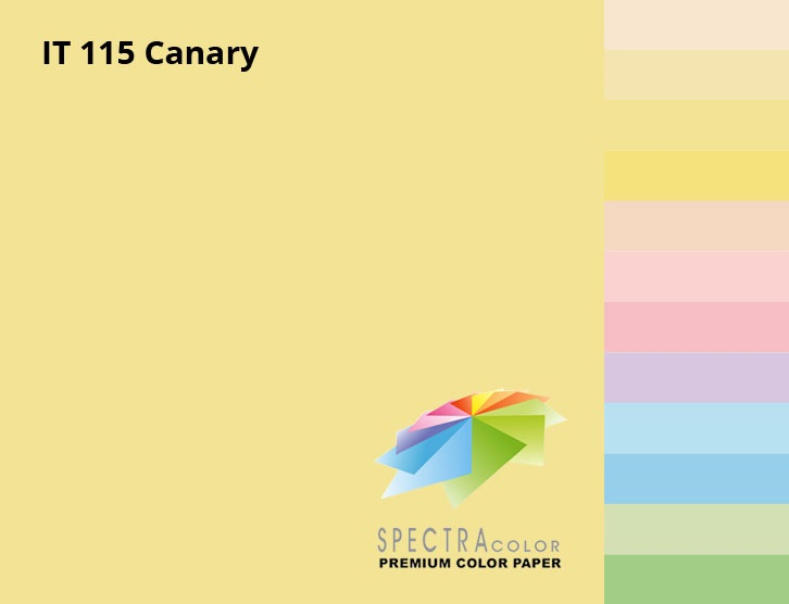 Бумага цветная Color A4 пастель 80г./м2. Canary, 500листов, св.-желт. Spectra Color - фото 3