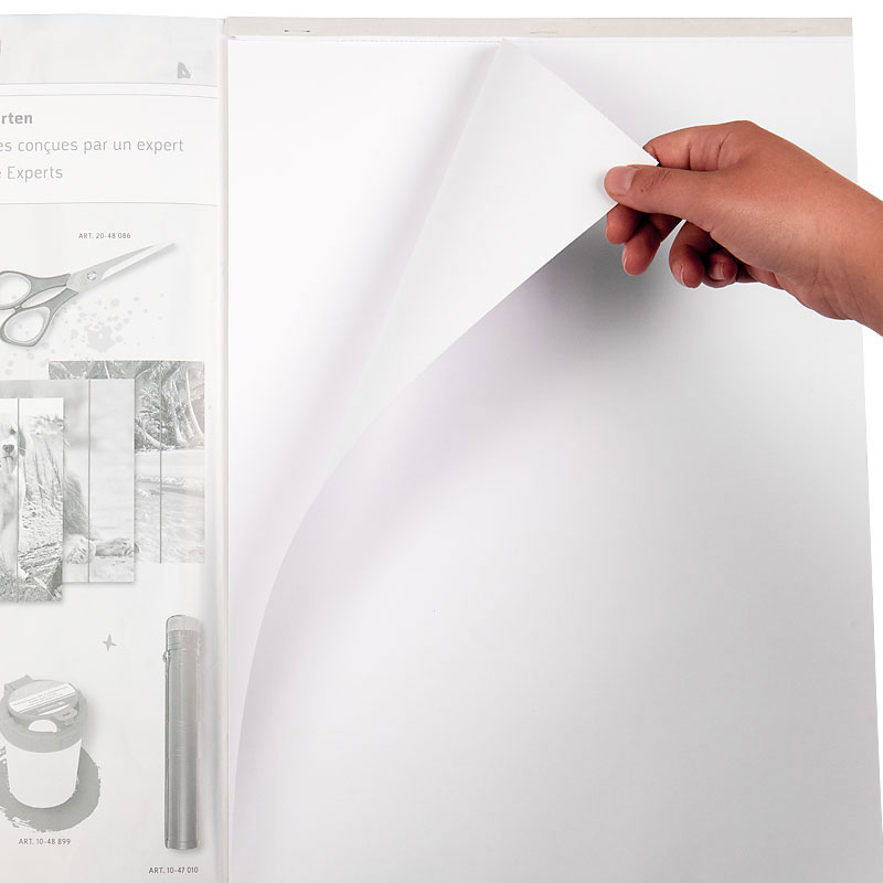 Альбом-склейка для рисования А3, 10 лист. 100 г/м2 Brunnen - фото 5