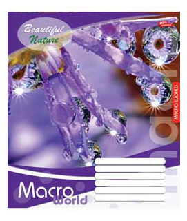 Зошит школьная 48арк., кліт. Україна - фото 1