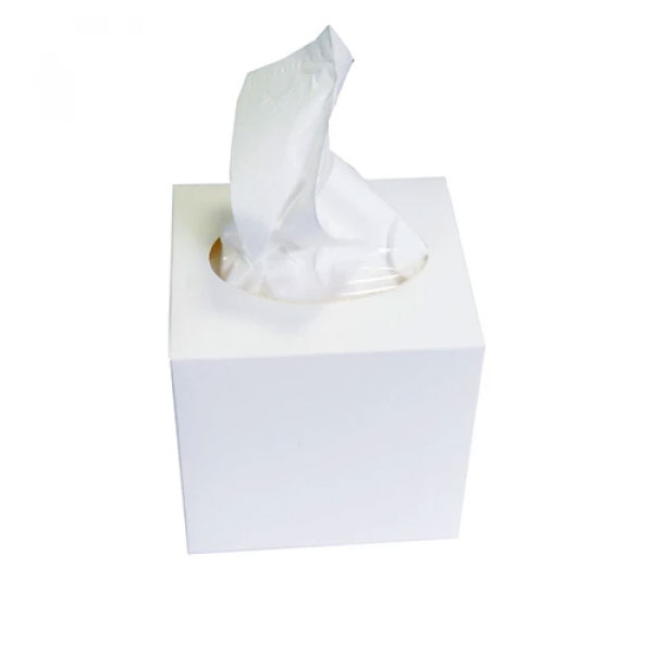 Серветки косметичні, 2 шари, 80шт/кор. CUBE (S780) Tischa Papier - фото 2