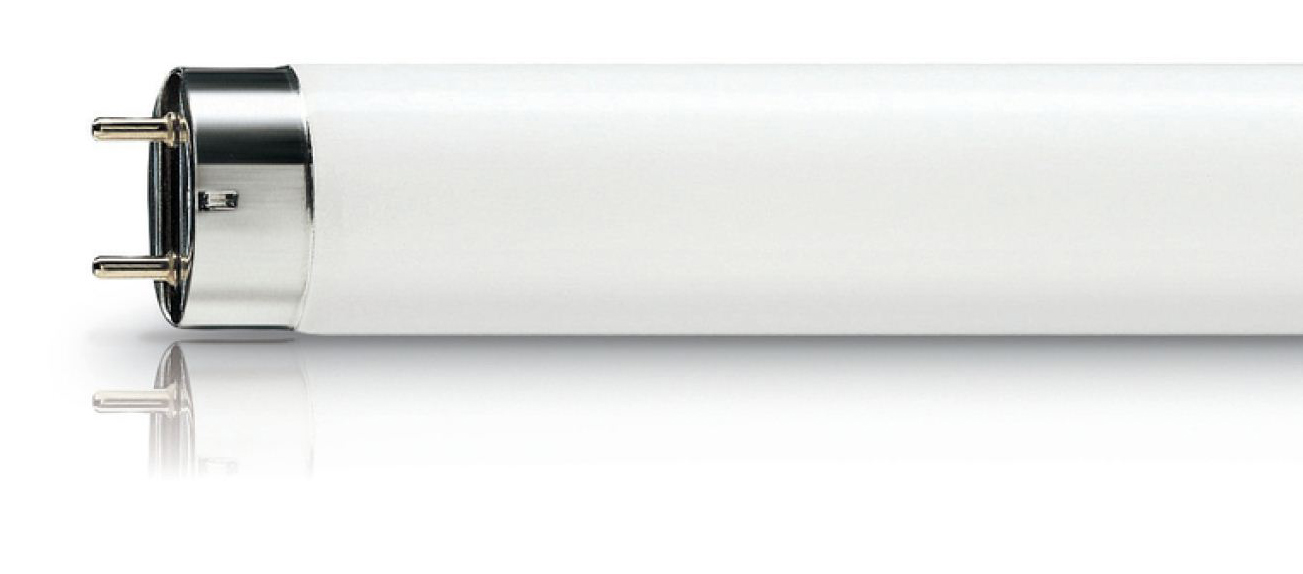 Люмінісцентна лампа G13 18Вт. 6500К Philips - фото 1