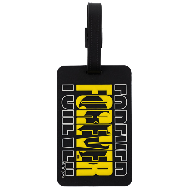 Бейдж на багаж 3004 DC Comics Kite - фото 1